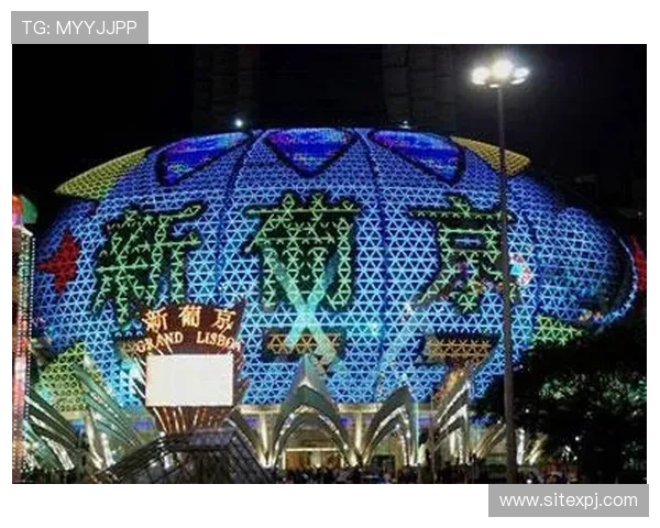 新葡京和葡京的合作模式分析：揭示两大赌场品牌在行业中的战略布局